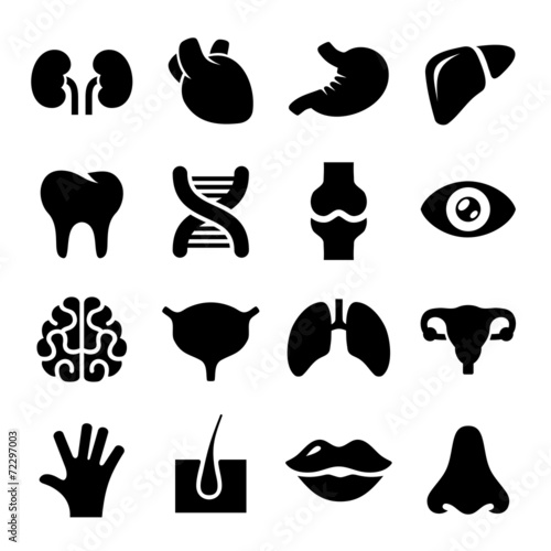 Human Organs Icons Set.