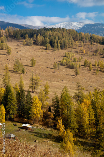 View of Mount Altai sarlyks