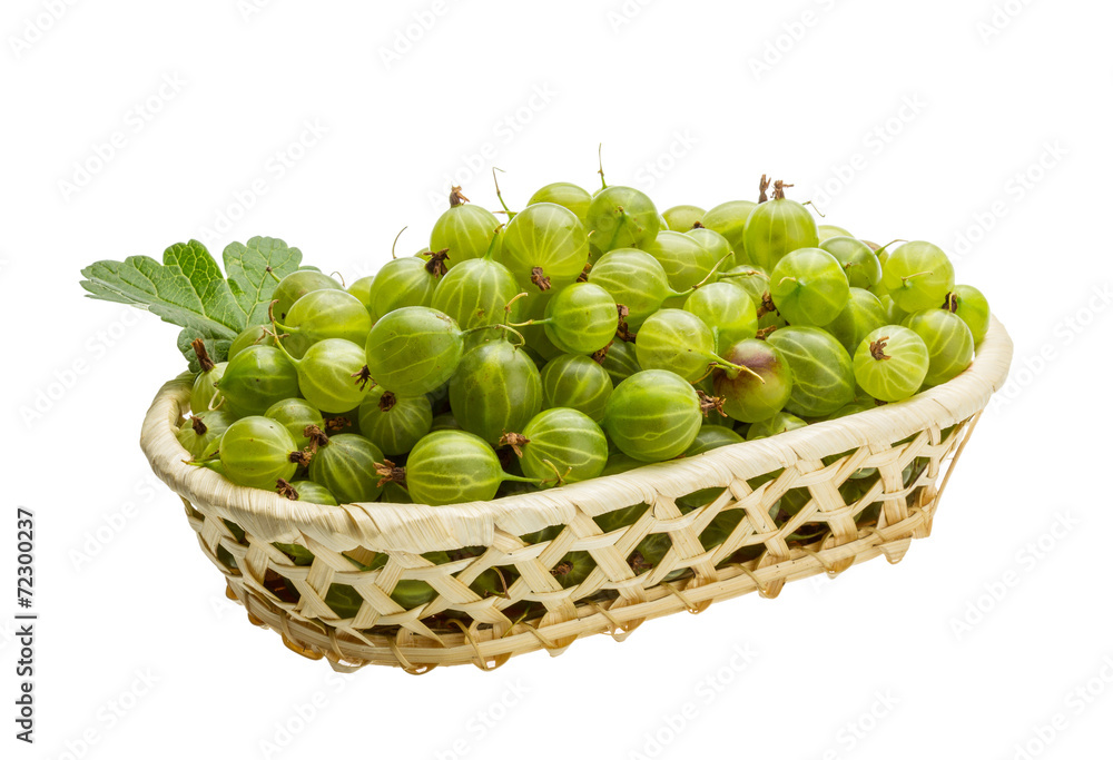 Gooseberry Gooseberry