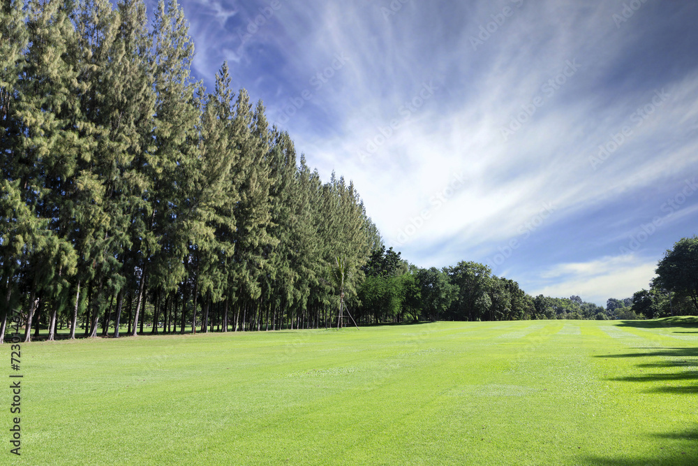 Green golf field