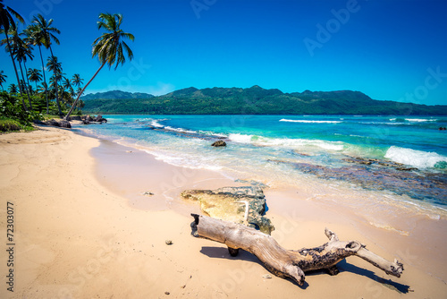 Deserted trunk on Playa Rincon beach in Dominican Republic photo