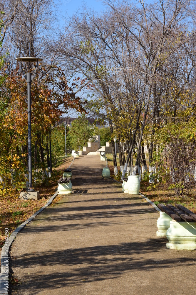 Sunlit path in the park in autumn
