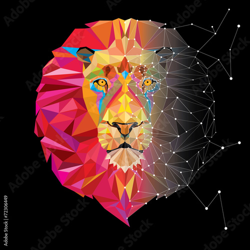 Fototapeta Naklejka Na Ścianę i Meble -  Lion head in geometric pattern with star line vector
