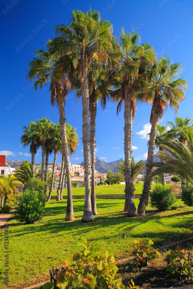 travel, vacation in the Canary Islands
