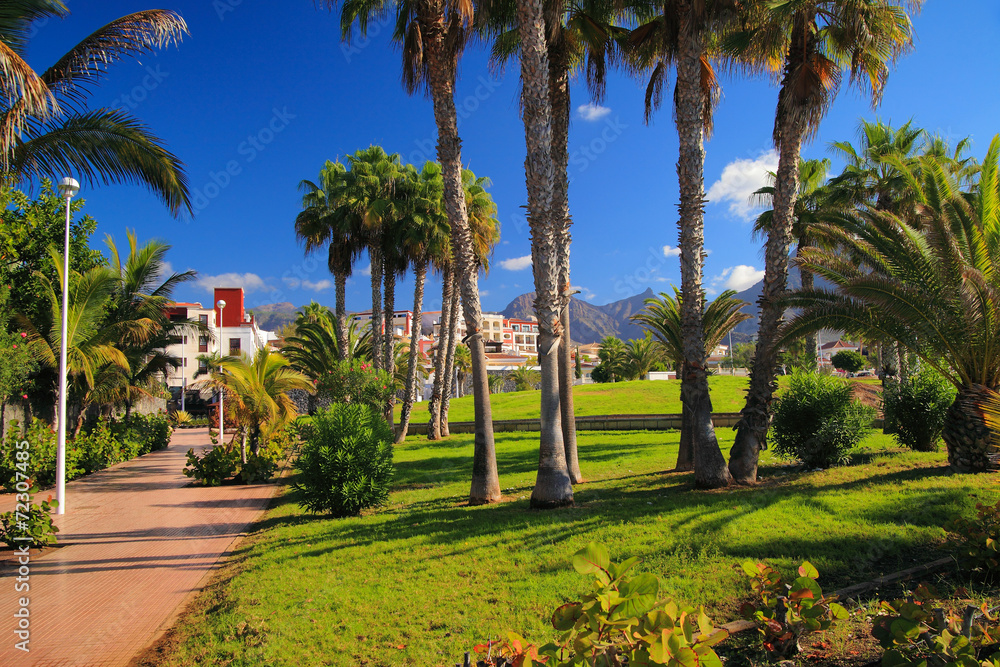 Fototapeta premium travel, vacation in the Canary Islands