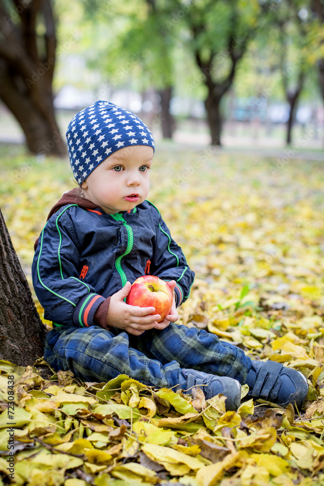Adorable toddler boy in autumn park