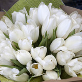 bunch of white flowers for bride