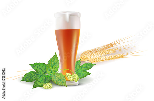 Glass of beer, hops and barley