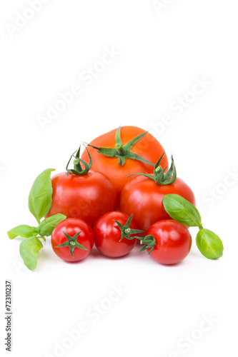 frische rote tomaten mit basilikum