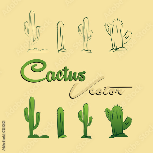 Four Cactus