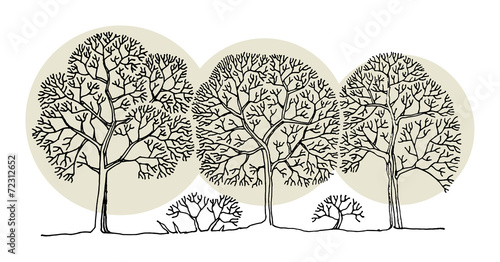 Hand drawing sketch of tree