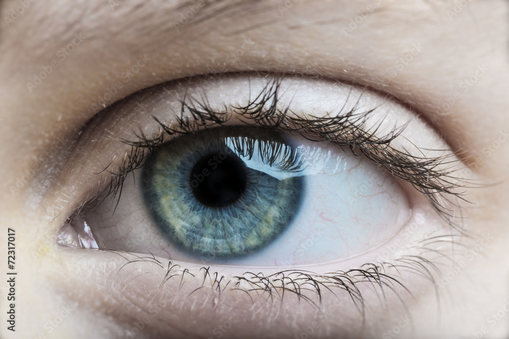 eye of the child eye of the child