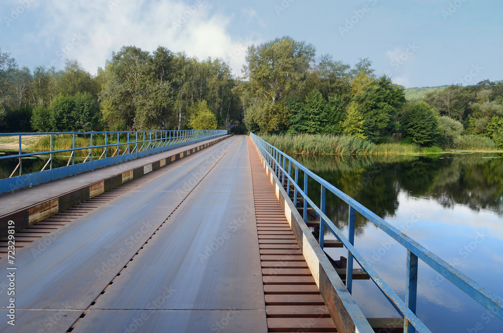 Железный мост через реку Северский Донец, дубовая роща