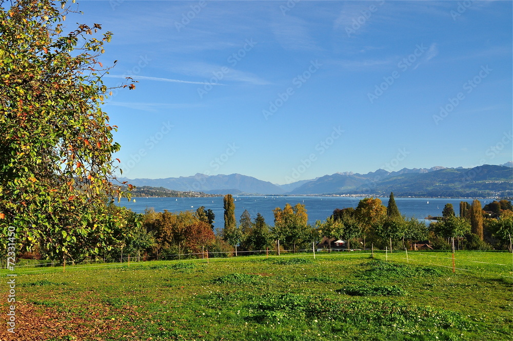Halbinsel Au darunter Zürichsee
