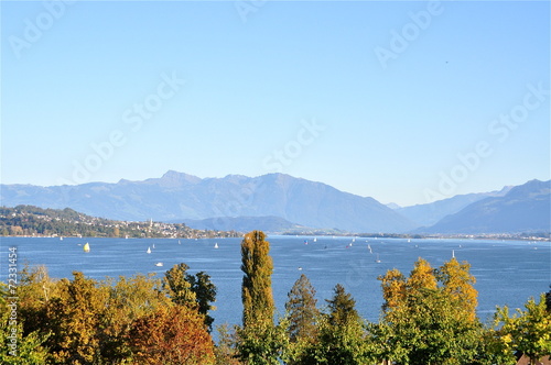 Fototapeta Naklejka Na Ścianę i Meble -  Blick über Zürichsee von Halbinsel Au