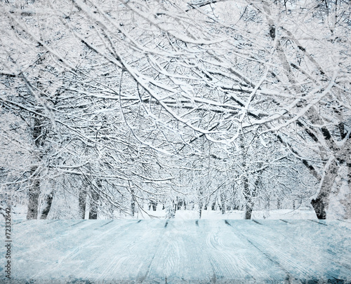 Winter forest and table  in snow photo