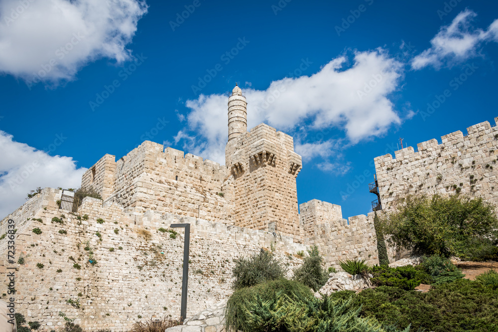 Naklejka premium Tower of David