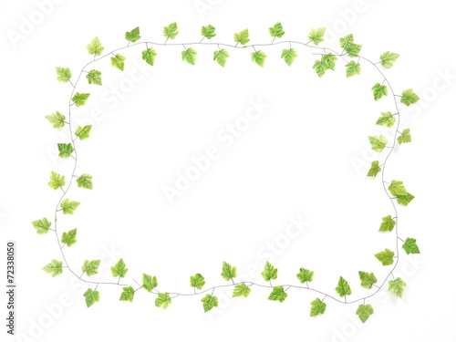 green leave frame isolated