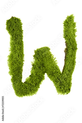 Letter made out of Leaves