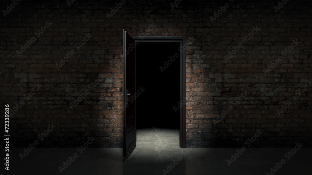 Obraz premium Old wall and door