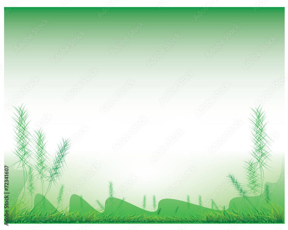 Obraz premium the vector background design