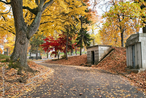Valokuva Cemetery Road Past Mausoleums in Fall