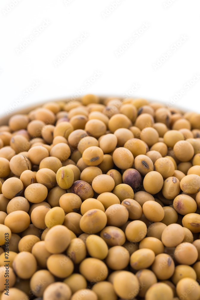 Soybean isolated on white background Soybean isolated on white background