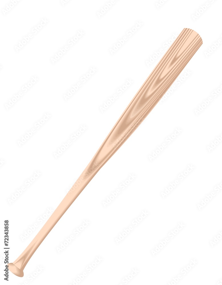 Obraz premium Baseball bat