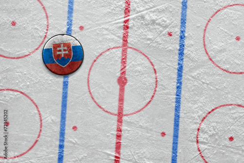 Slovak hockey puck on the site