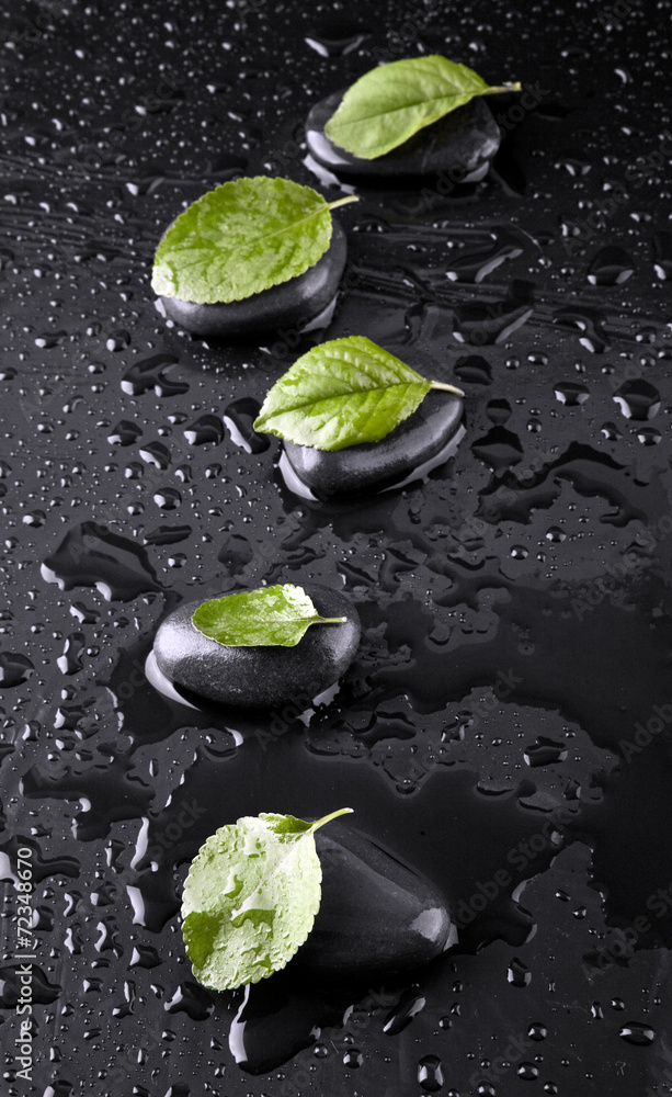 stone and leaves in drops of water stone and leaves in drops of water