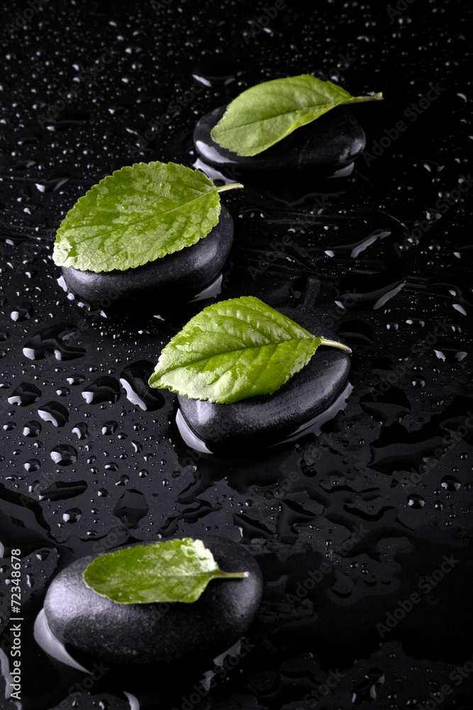 stone and leaves in drops of water stone and leaves in drops of water
