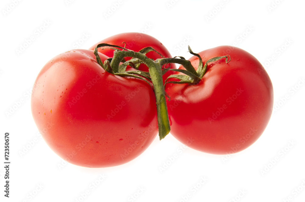 tomatoes tomatoes