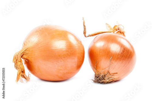 Fresh onion isolated on white background.