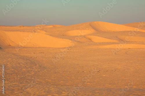 Tunisia. Somewhere on Sahara desert near Douz...