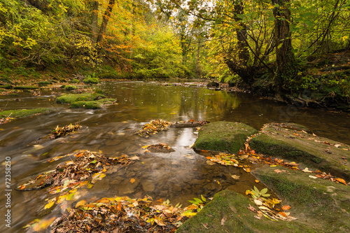 River Blyth in autumn