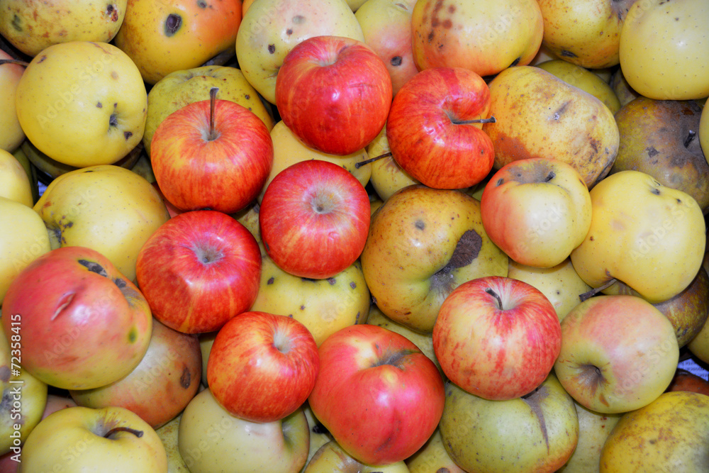 Manzanas rojas y amarillas