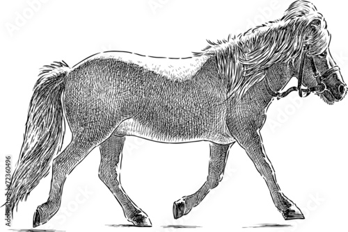 running pony