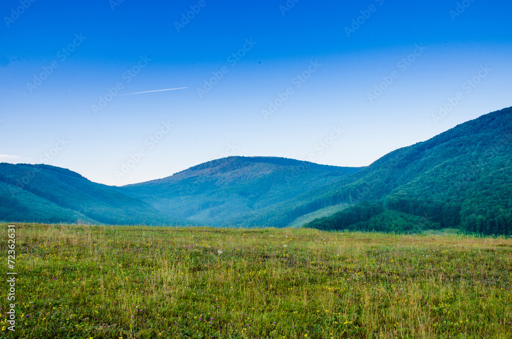 in the green mountains