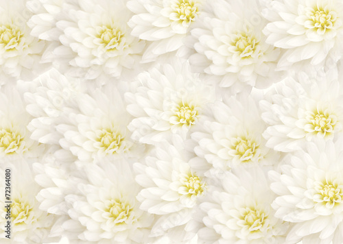 white Flower