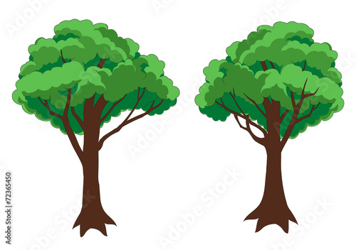 Vector tree  isolated on white