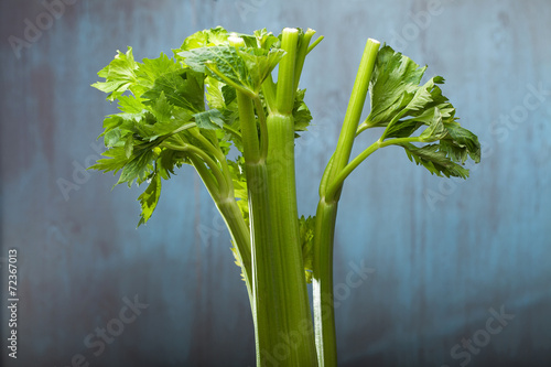 Green celery on the wood background