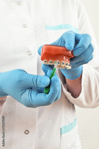 braces model with brush