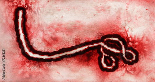 Microscopic view of Ebola Virus photo