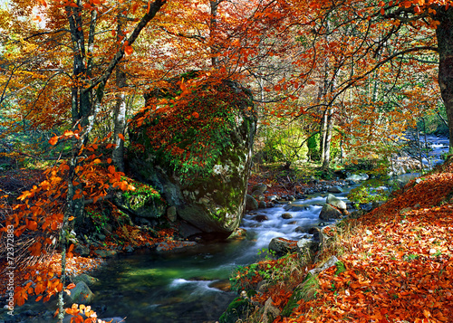 Autumn river - Iliina river  Rila Bulgaria