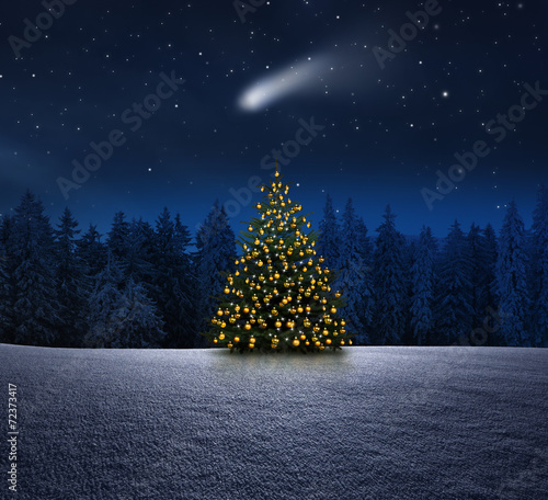 Weihnachtbaum im Winterwald
