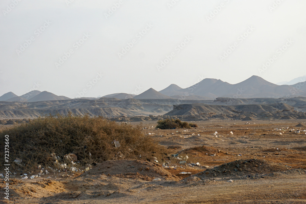 desert landscape