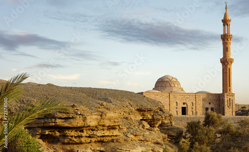 Canvas Print mosque desert landscape
