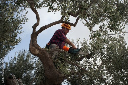 Pruner agricultural worker