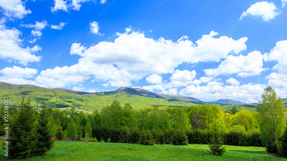 Fototapeta premium Bieszczady Mountains, Poland