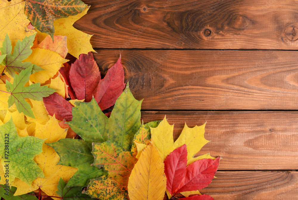 Obraz premium Autumn leaves over wooden background with copy space